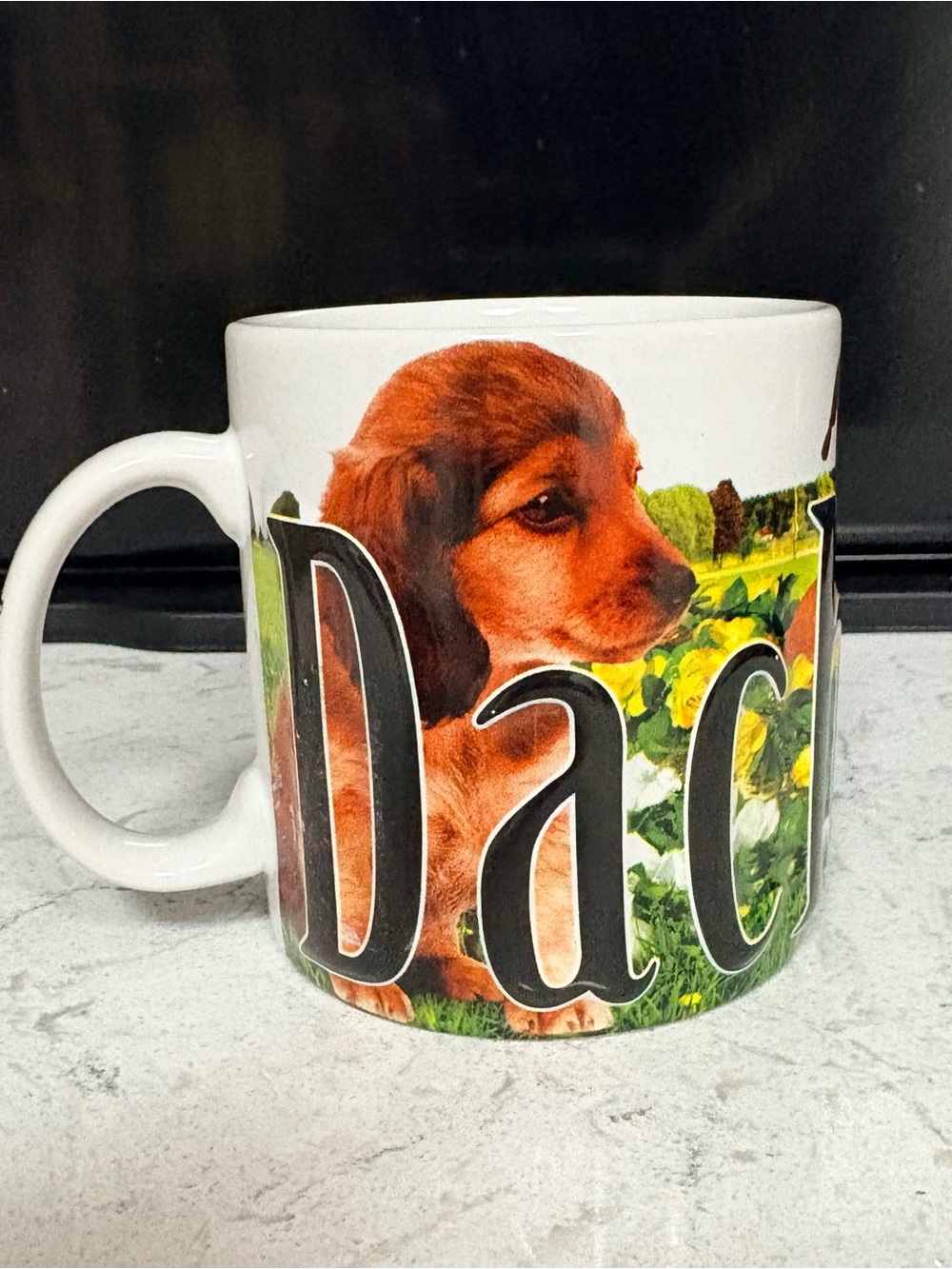 Oversized 18 oz. Americaware Dachshund Color Relief Mug